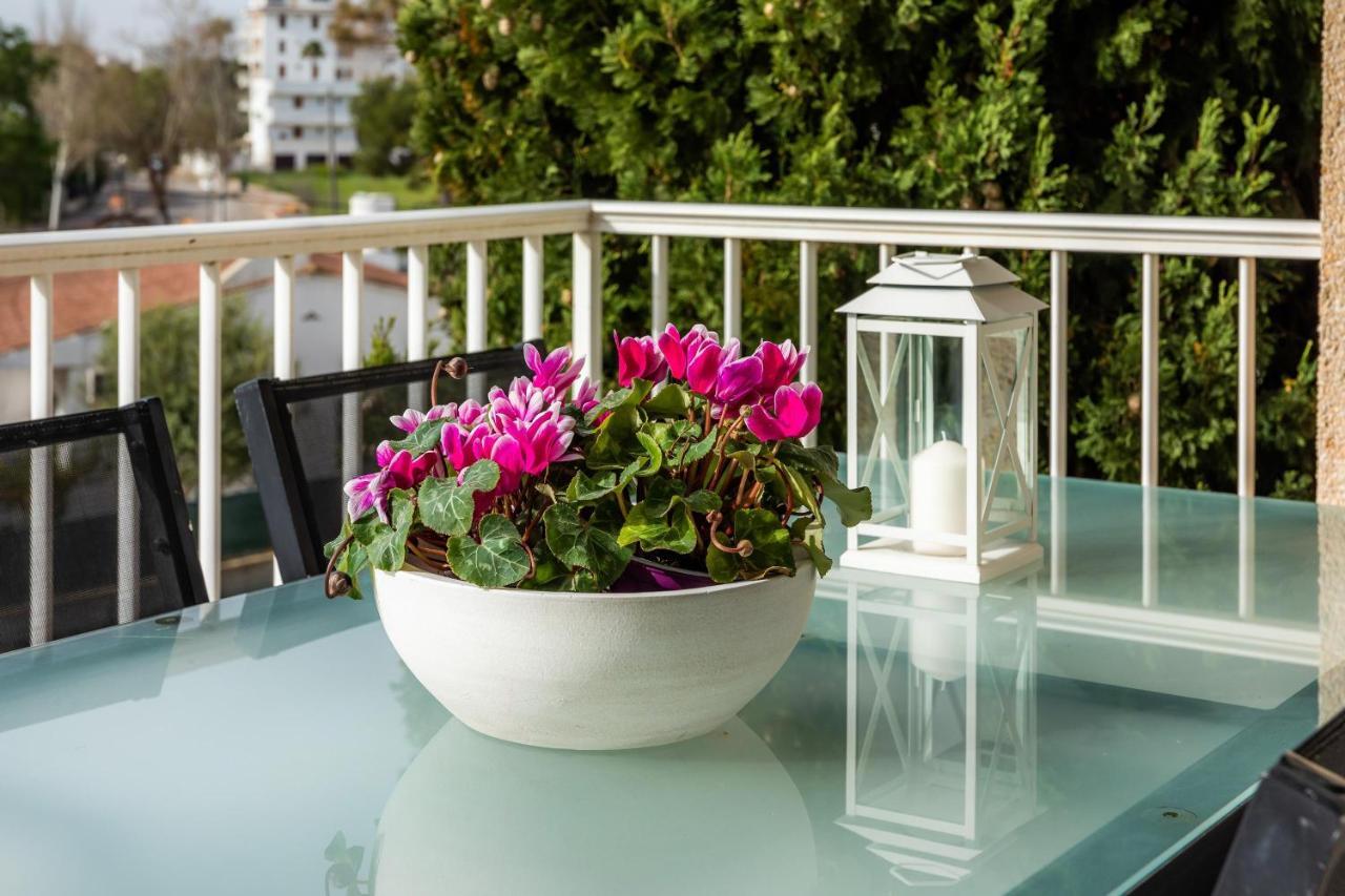 Angy Apartment Alcudia  Exterior photo